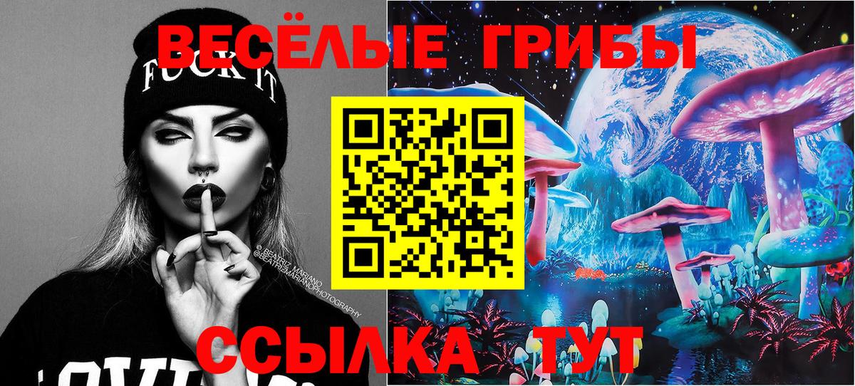 Галлюциногенные грибы MAGIC MUSHROOMS  Вход с VPN  Горно-Алтайск 